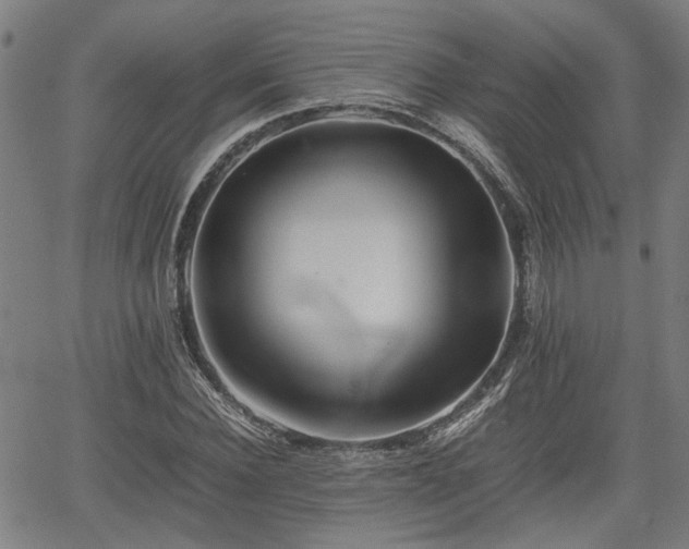 X0000062170924200512161247