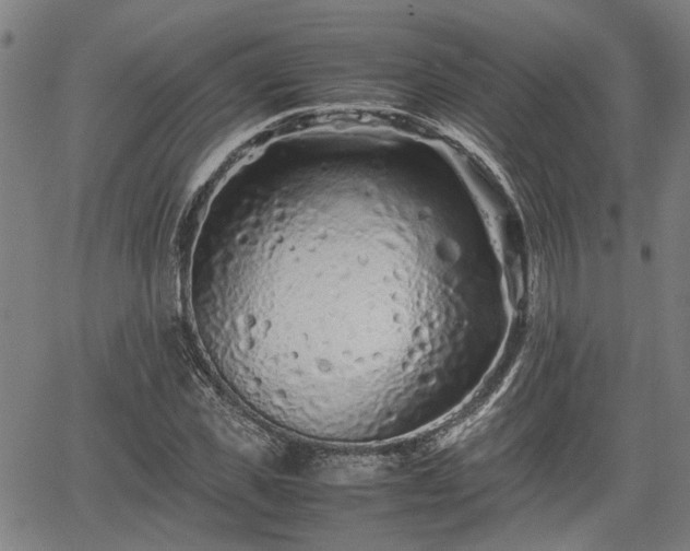 X0000062170925200512161247