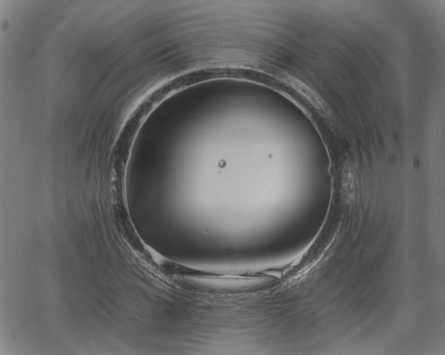 X0000062170926200512161247