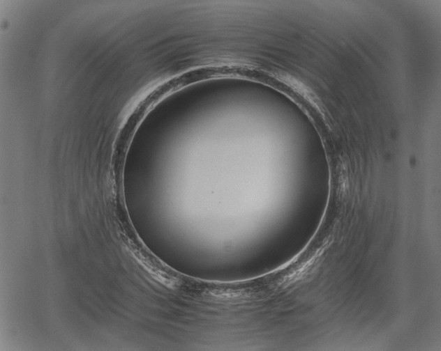 X0000062170927200512161247