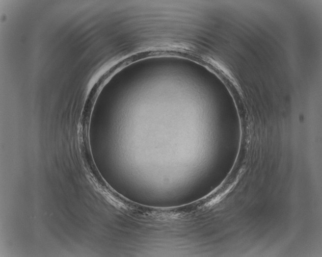 X0000062170928200512161247