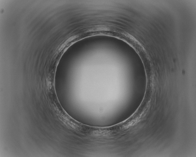 X0000062170929200512161247