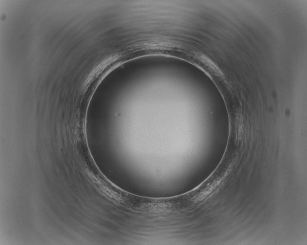 X0000062170930200512161247