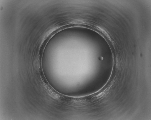 X0000062170931200512161247