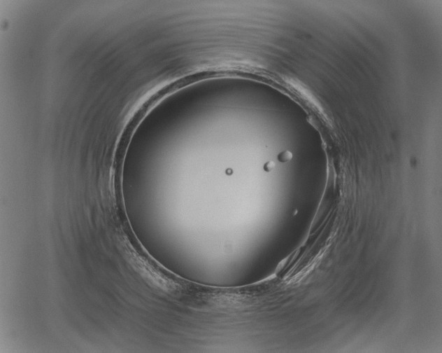 X0000062170932200512161247