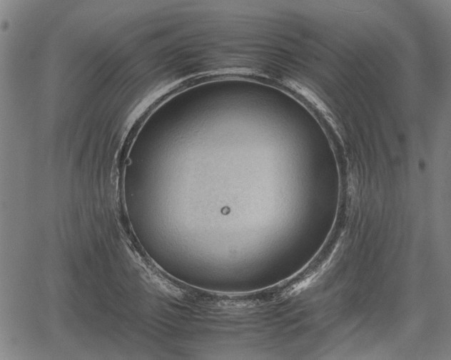 X0000062170933200512161247