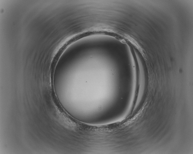 X0000062170934200512161247