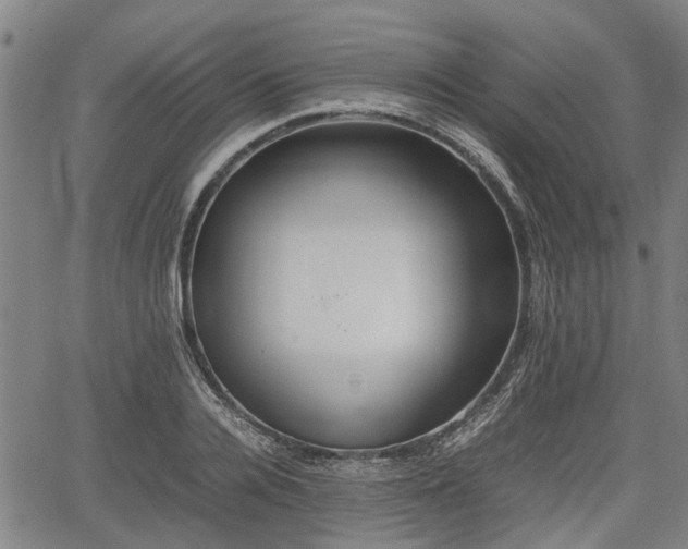 X0000062170936200512161247