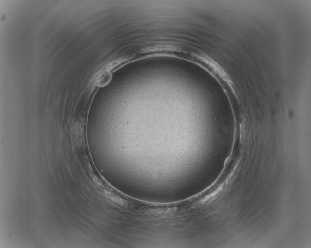 X0000062170937200512161247