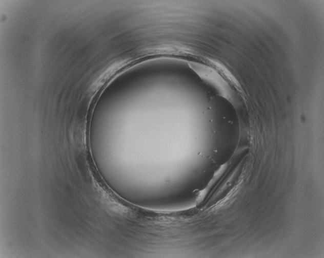 X0000062170938200512161247