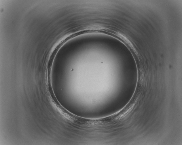 X0000062170939200512161247