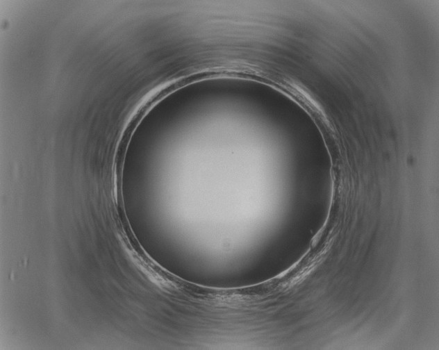 X0000062170940200512161247