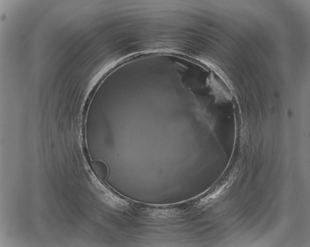 X0000062170941200512161247