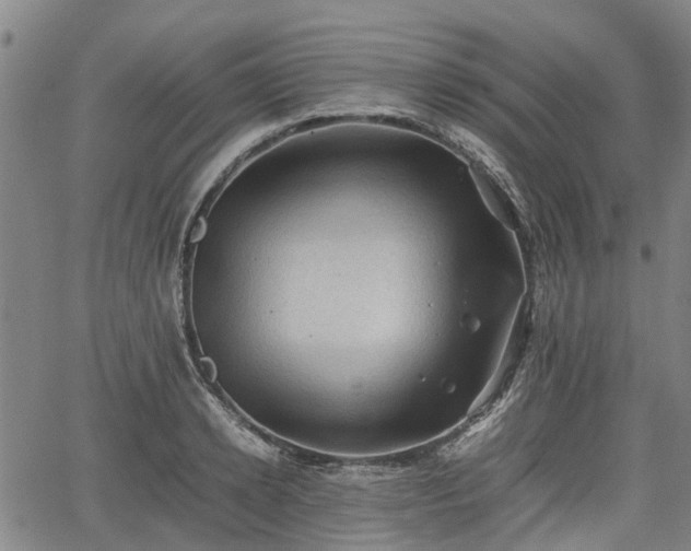 X0000062170942200512161247