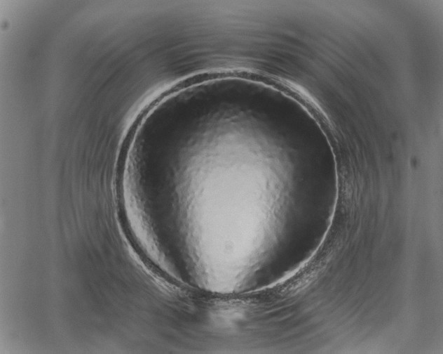 X0000062170943200512161247