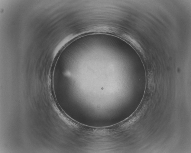 X0000062170944200512161248