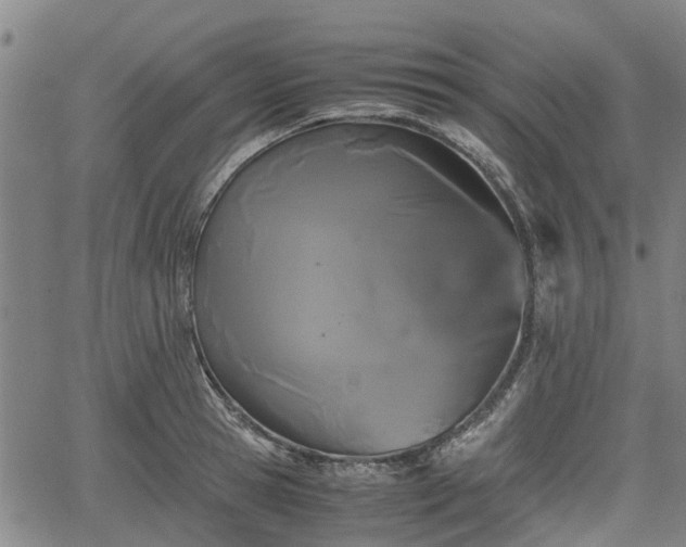 X0000062170945200512161248