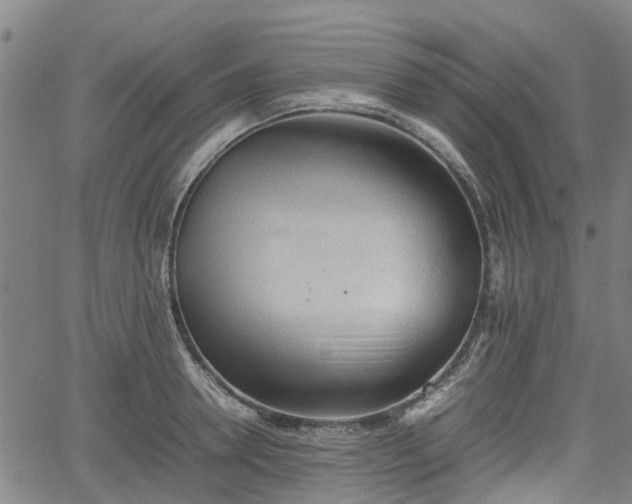 X0000062170946200512161248