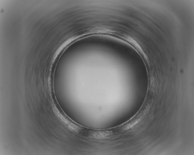 X0000062170947200512161248