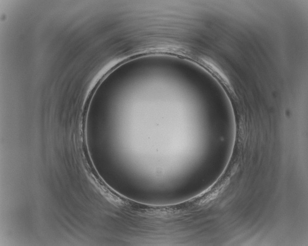 X0000062170948200512161248