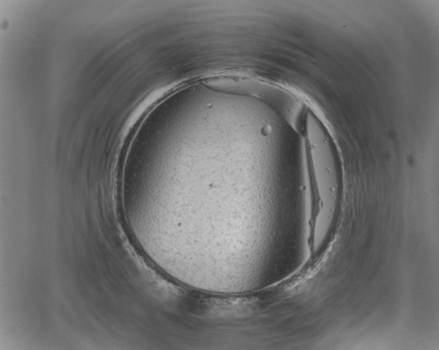 X0000062170949200512161248