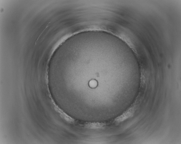 X0000062170950200512161248