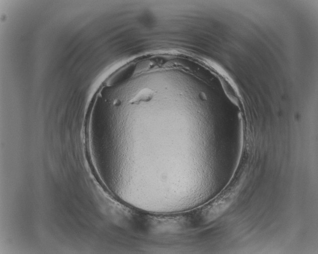 X0000062170951200512161248