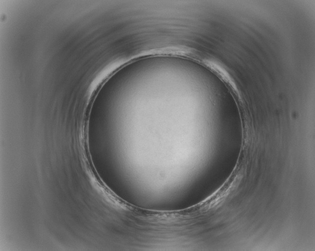 X0000062170952200512161248