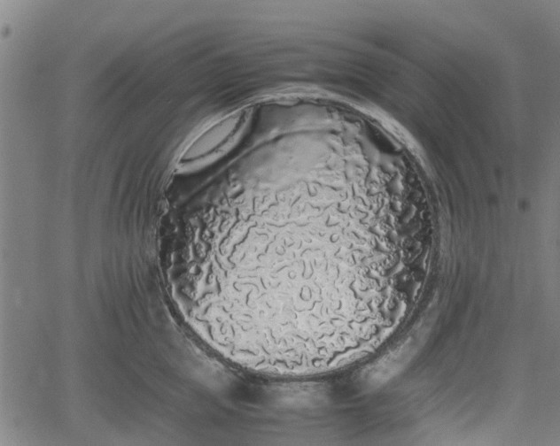 X0000062170953200512161248