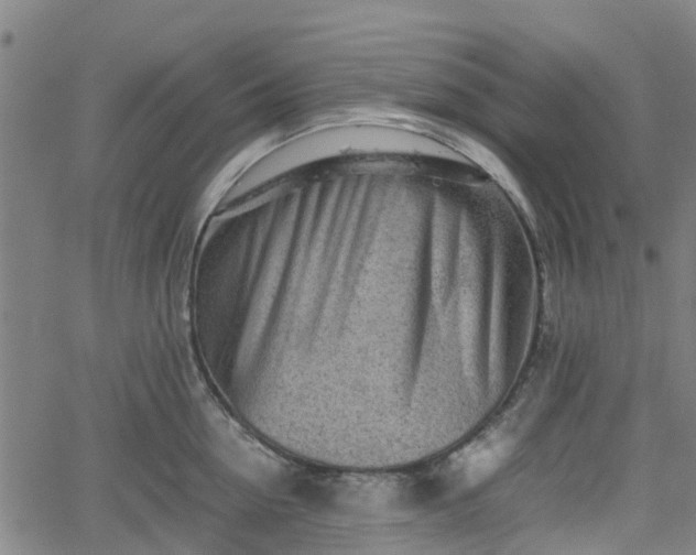 X0000062170954200512161248