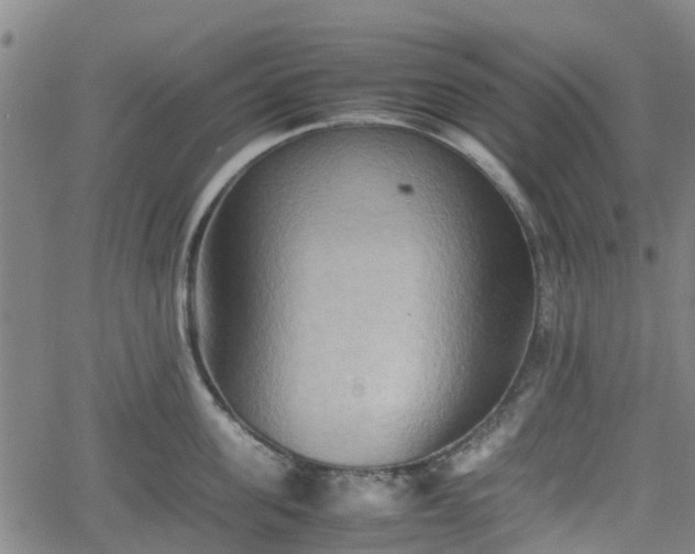 X0000062170955200512161248