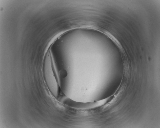 X0000062170956200512161248