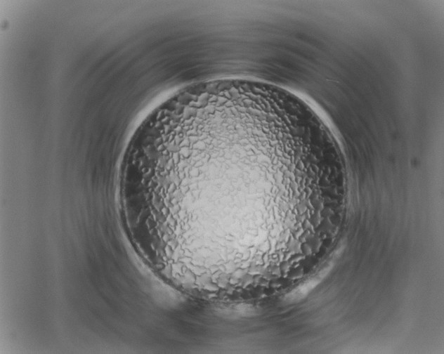 X0000062170957200512161248