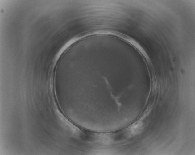 X0000062170958200512161248