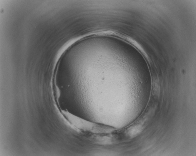 X0000062170959200512161248