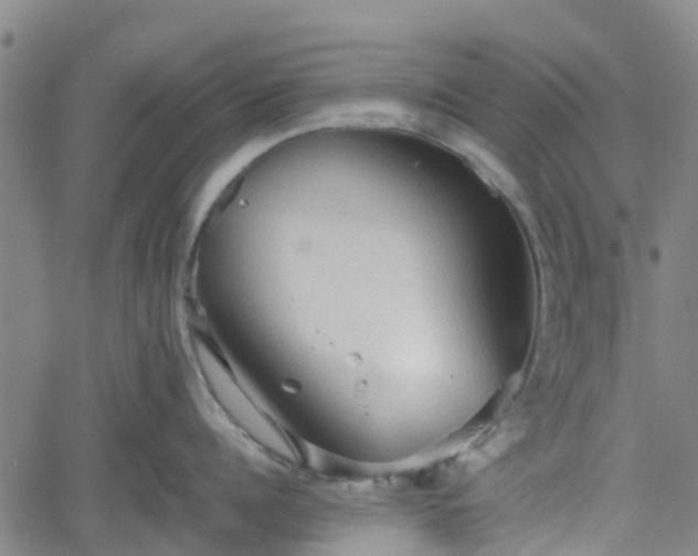 X0000062170960200512161248