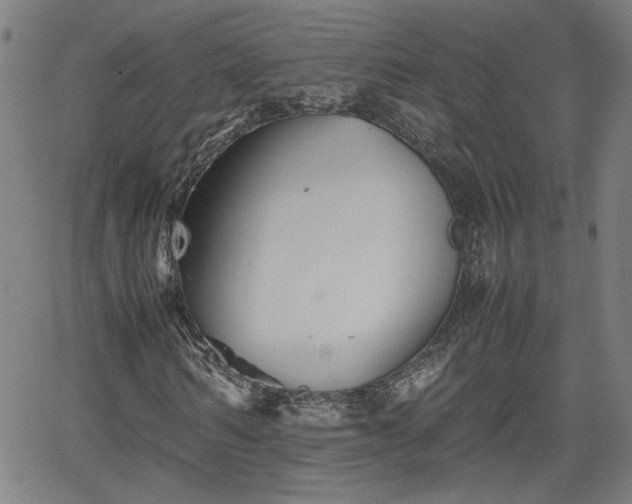 X0000062170962200512161247