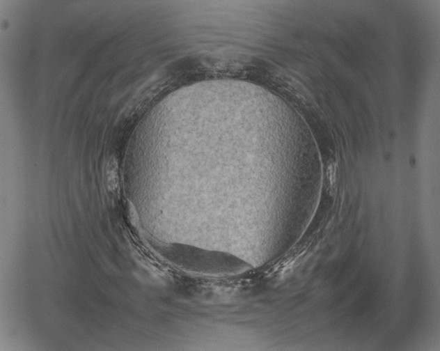 X0000062170963200512161247