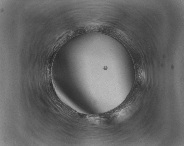 X0000062170964200512161247