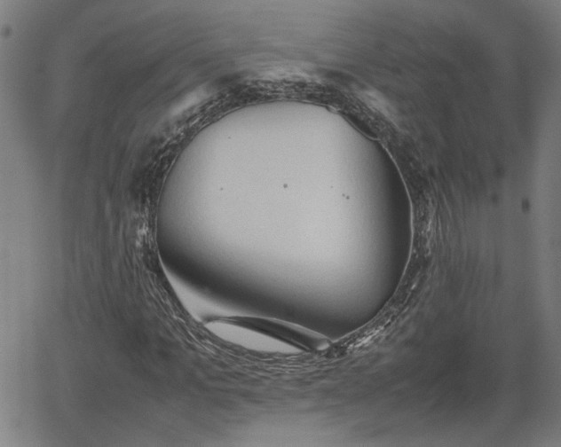 X0000062170965200512161247