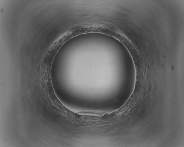 X0000062170967200512161247