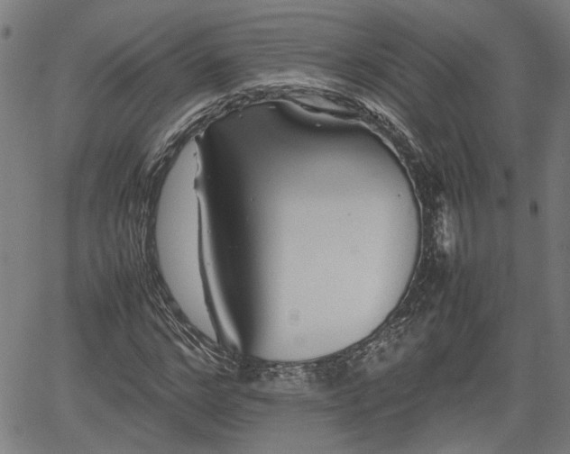 X0000062170968200512161247