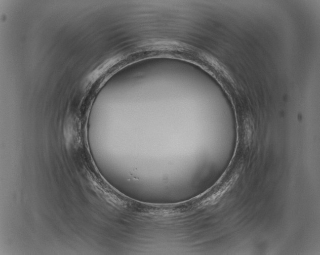 X0000062170970200512161247