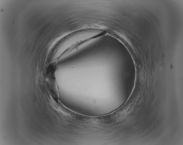 X0000062170971200512161247