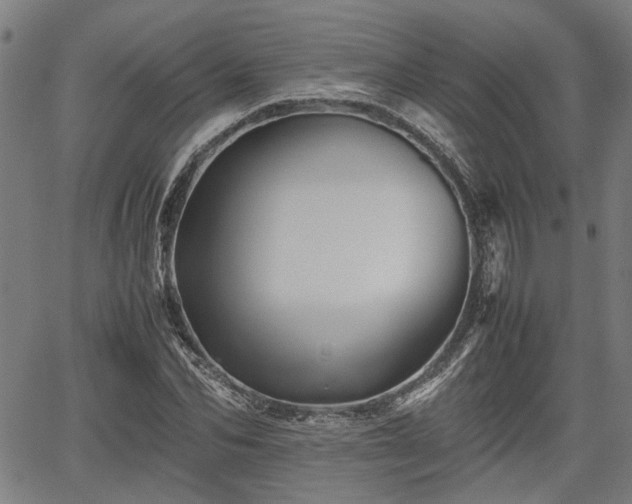 X0000062170974200512161247