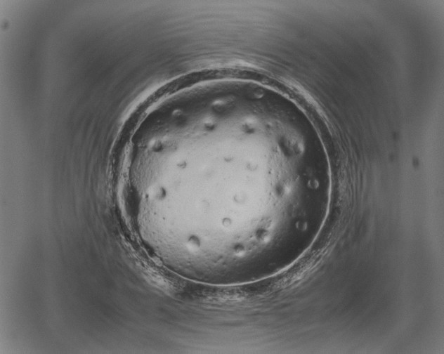 X0000062170975200512161247