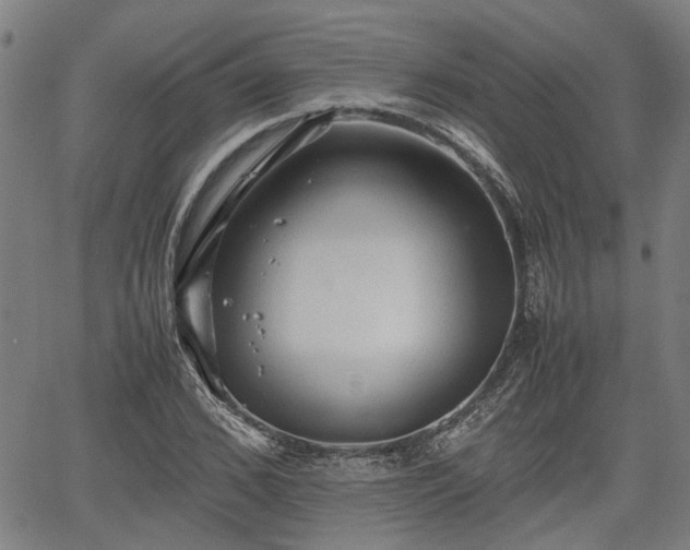 X0000062170976200512161247