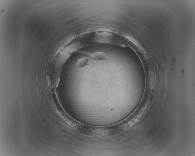 X0000062170977200512161247