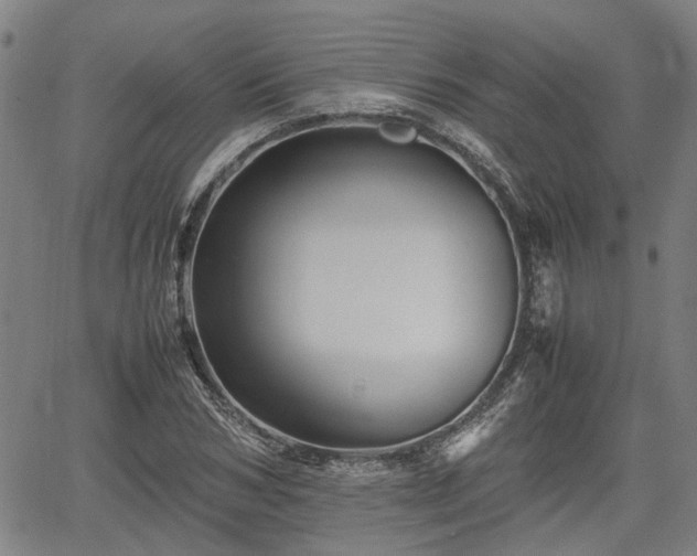 X0000062170978200512161247