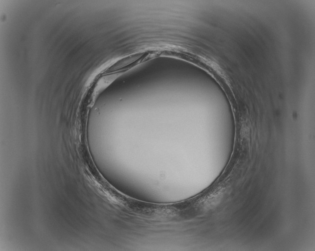 X0000062170979200512161247